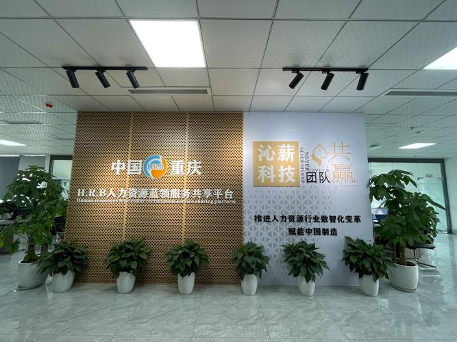 重庆沁薪科技 专业软件外包服务，赋能企业数字化未来